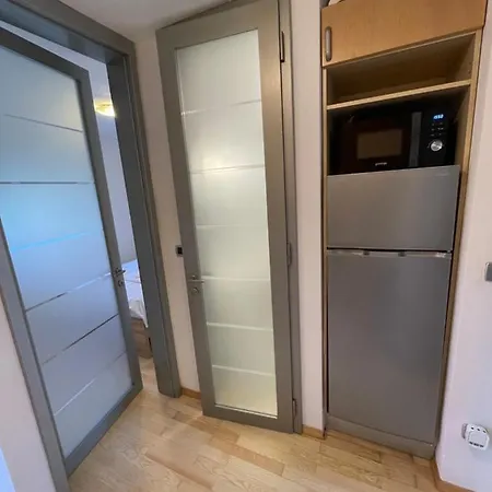 Apartma Galjevica דירה *