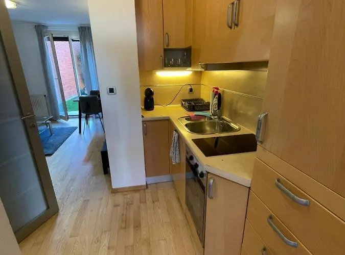 Apartma Galjevica 아파트